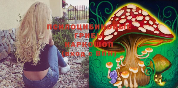 гидра Лихославль