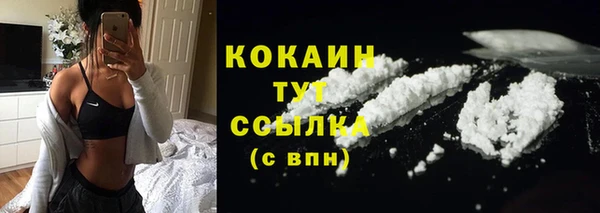 гидра Лихославль