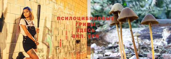 тгк Лиски
