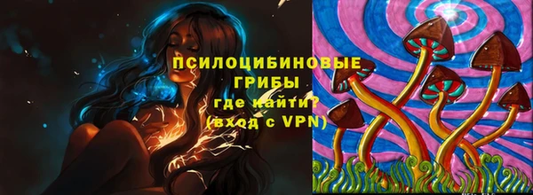 мдпв Липки