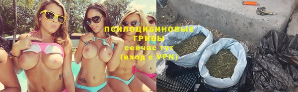 тгк Лиски