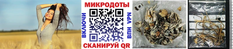 Галлюциногенные грибы Cubensis Голицыно